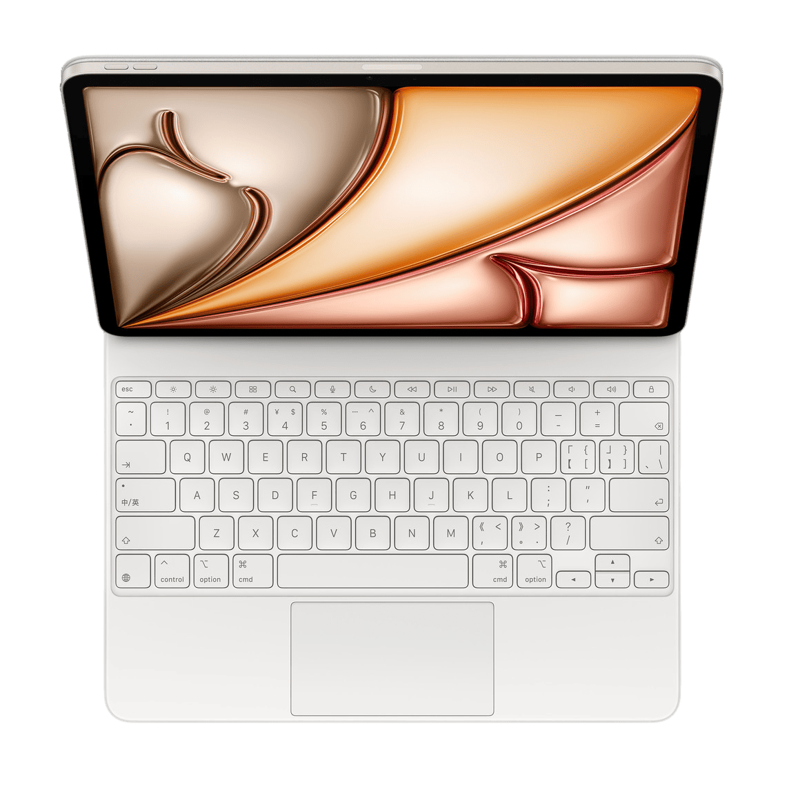 Magic Keyboard(para iPad Air)